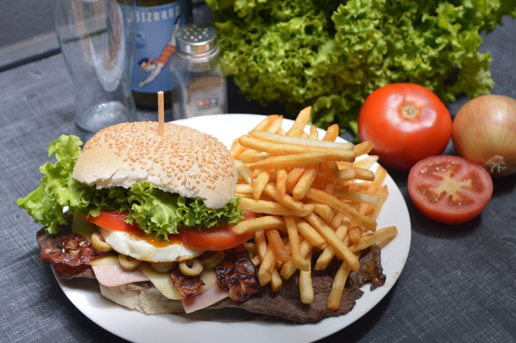 Menu burger + FonteAwesome