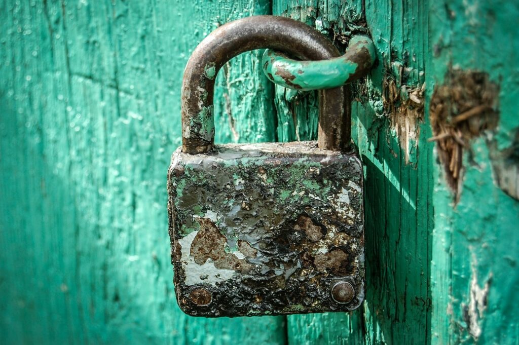 5 Plugins pour sécuriser votre WordPress