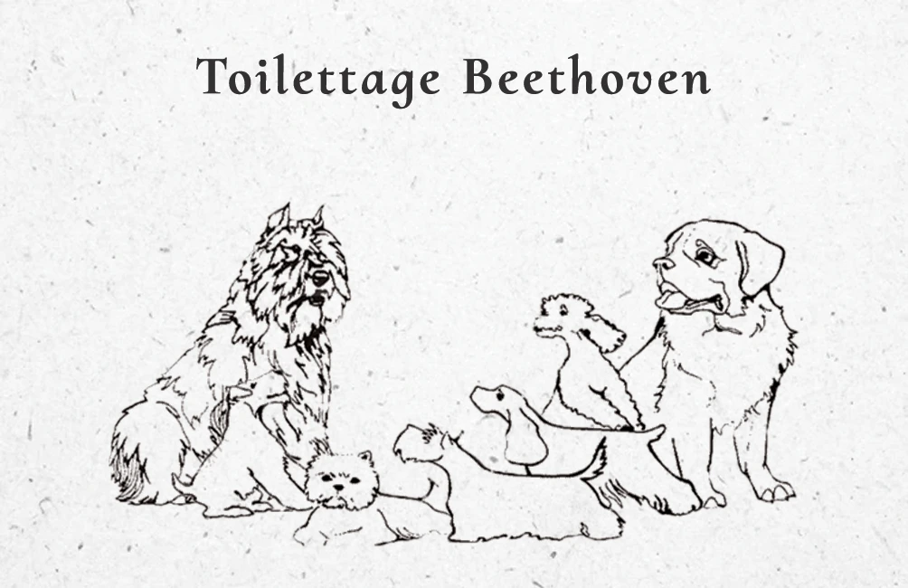 Cartes de visite pour Beethoven