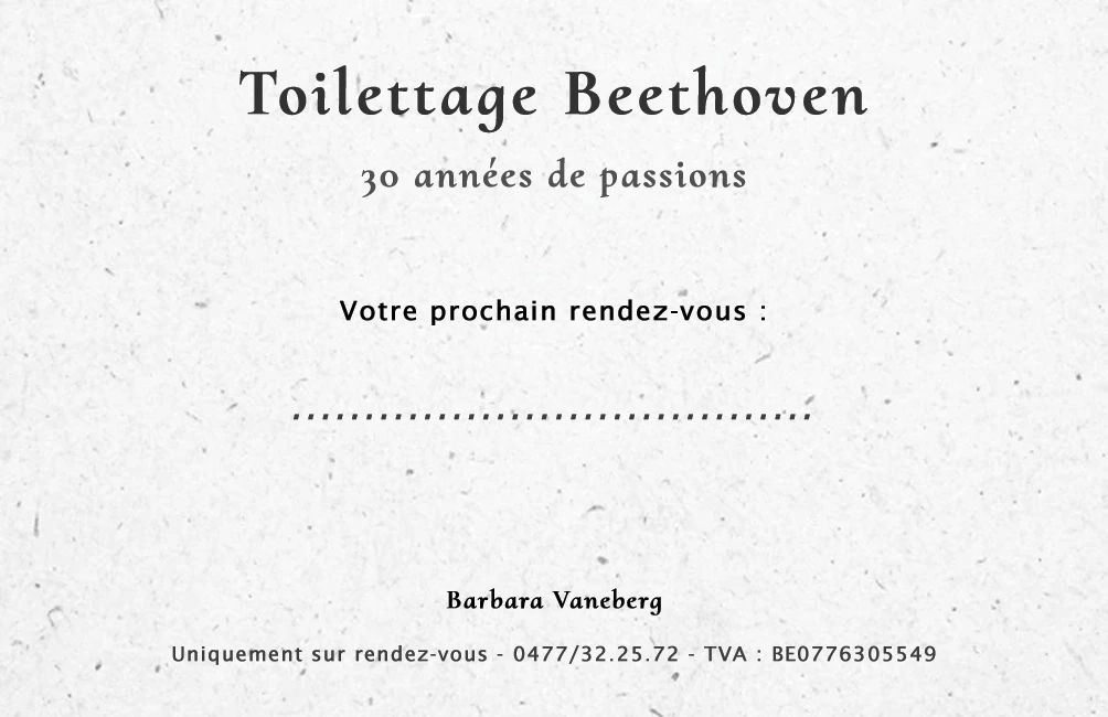 Cartes de visite pour Beethoven