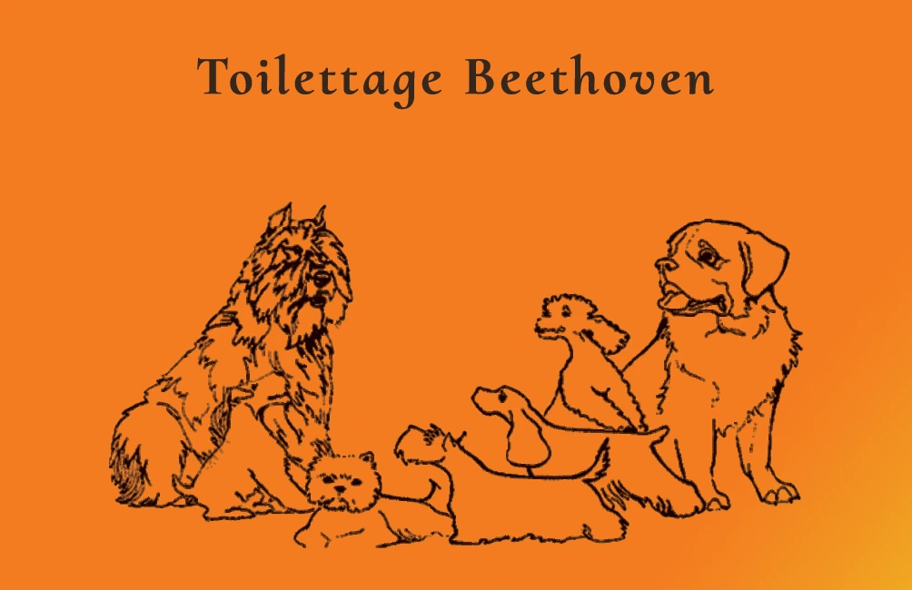 Cartes de visite pour Beethoven