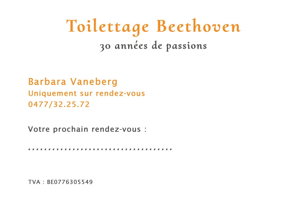 Cartes de visite pour Beethoven
