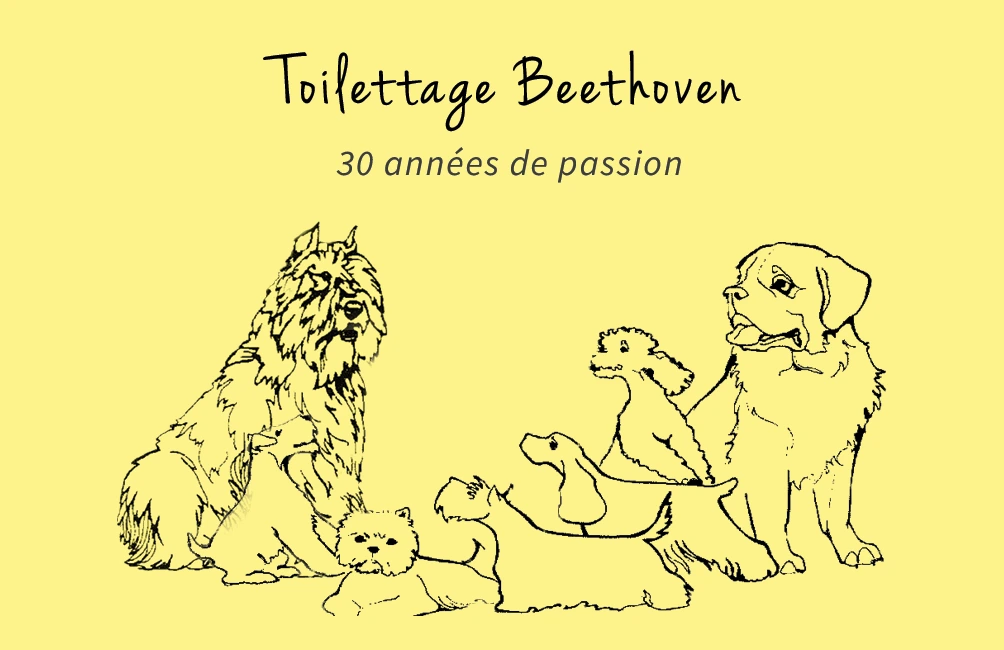 Cartes de visite pour Beethoven