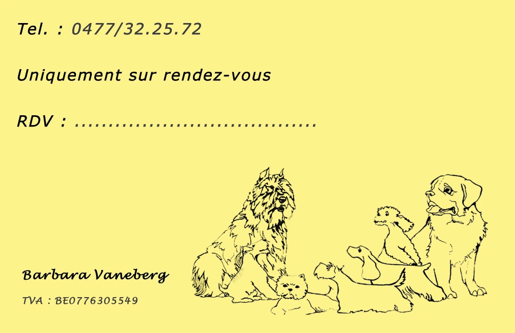 Cartes de visite pour Beethoven
