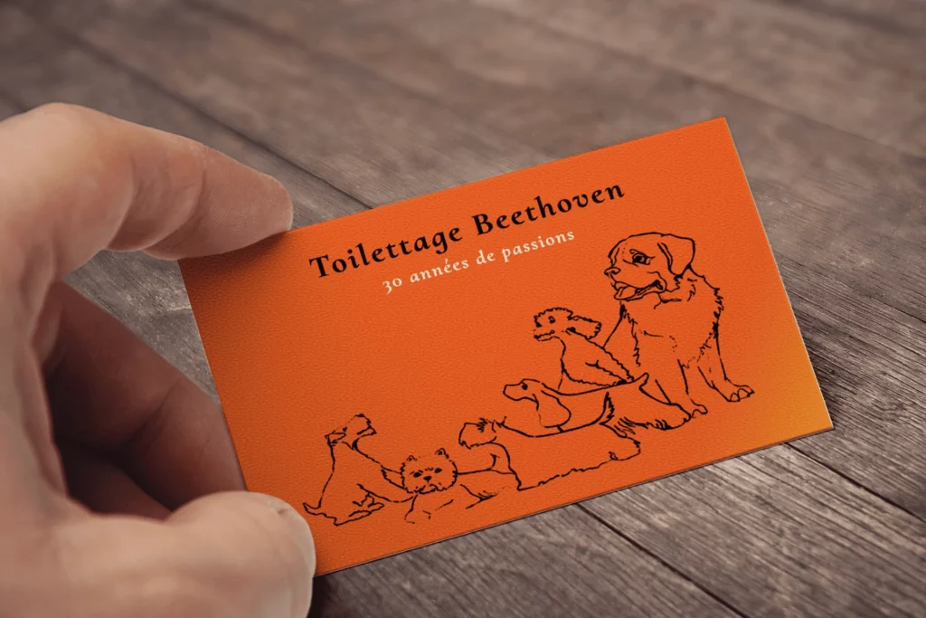 Cartes de visite pour Beethoven