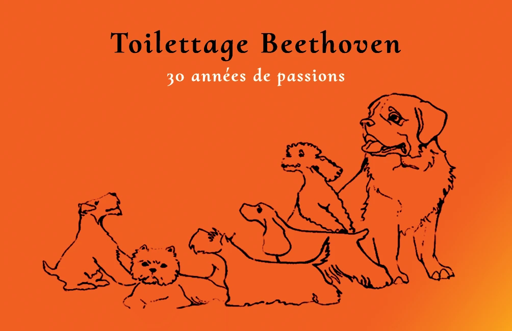 Cartes de visite pour Beethoven
