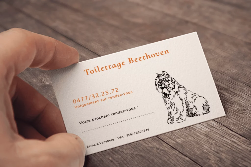 Cartes de visite pour Beethoven
