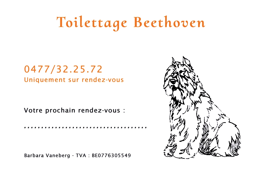 Cartes de visite pour Beethoven