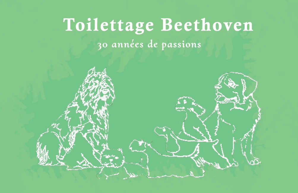 Cartes de visite pour Beethoven