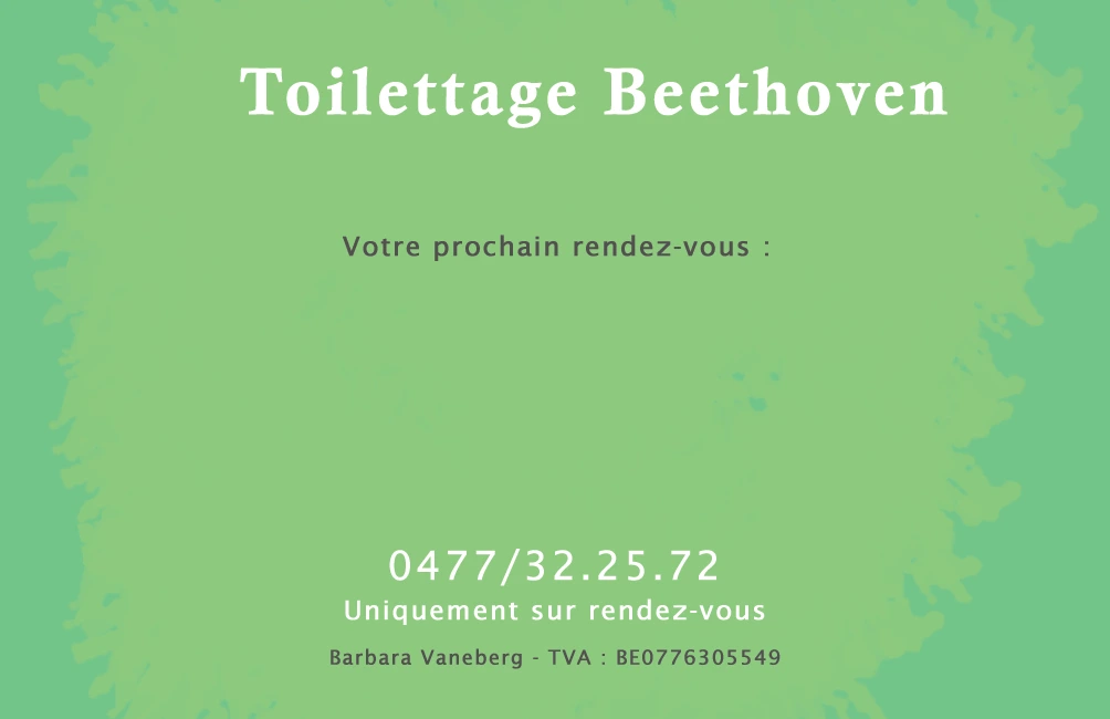 Cartes de visite pour Beethoven