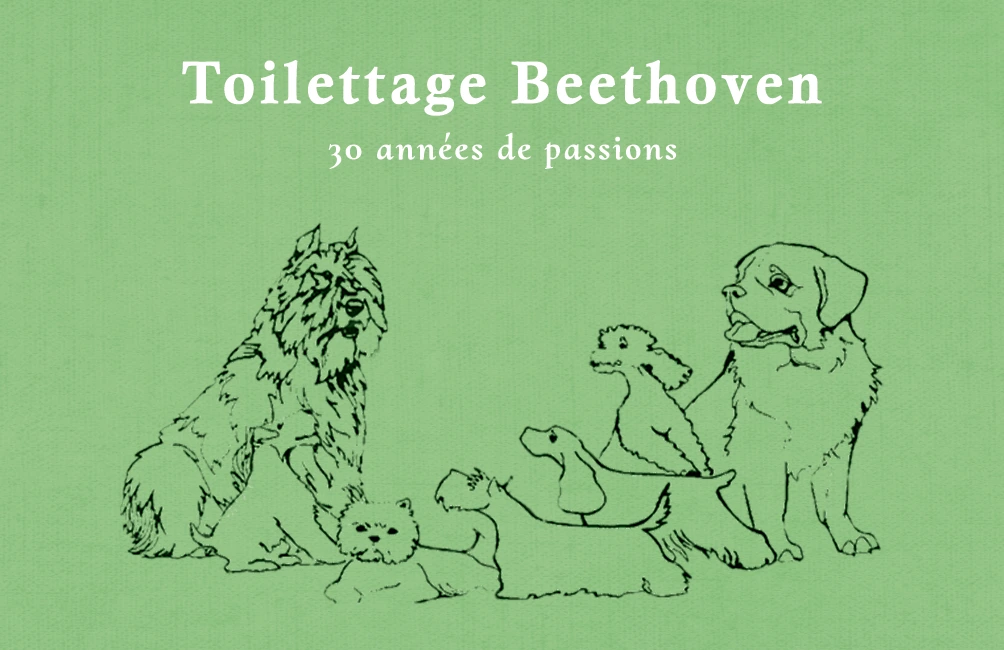 Cartes de visite pour Beethoven