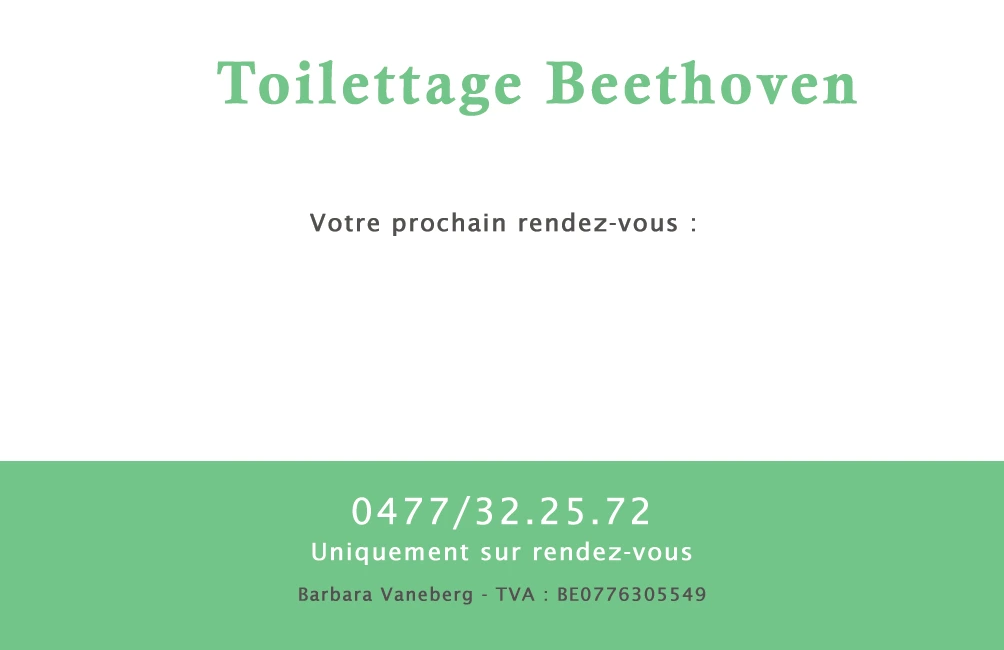 Cartes de visite pour Beethoven